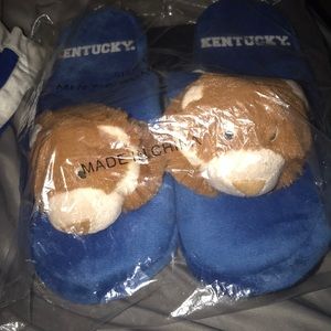 DS College Edition Kentucky Wildcat Slippers